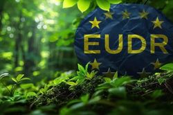 EU ban hành hướng dẫn mới về EUDR: Doanh nghiệp Việt Nam cần chủ động hoàn thiện hồ sơ truy xuất nguồn gốc