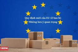 Quy định mới của EU về bao bì áp dụng từ ngày 12/8/2026: Những lưu ý quan trọng