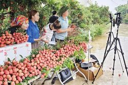 N&ocirc;ng sản &ldquo;l&ecirc;n s&oacute;ng&rdquo;, rộng đường ra thị trường