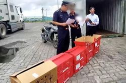 Hải quan bắt giữ 16.000 hộp dầu nhớt nhập khẩu giả nhãn hiệu MOTUL tại cảng biển TP. Hồ Chí Minh