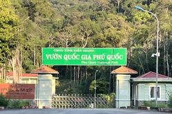 Phú Quốc siết quản lý đất rừng: Không đánh đổi "lá phổi xanh" lấy tăng trưởng nóng
