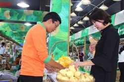 HTX Mỹ Lợi tạo giá trị từ sở hữu trí tuệ, mở rộng thị trường trái cây