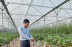 Gần 160.000 sản phẩm được cập nhật vào Hệ thống truy xuất nguồn gốc nông sản