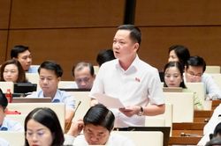 'Thao túng đối với bất động sản là hành vi rất nguy hiểm'
