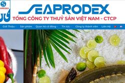 Seaprodex (SEA): Dự chi khoảng 62 tỷ đồng trả cổ tức, lãi quý II 'đi lùi'