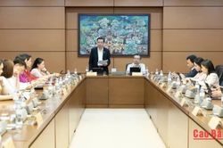 Đại biểu Quốc hội tỉnh thảo luận về chính sách phát triển đô thị, giảm thuế và dự án điện hạt nhân Ninh Thuận