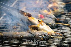 C&aacute; th&ograve;i l&ograve;i Vị ngon từ b&atilde;i bồi