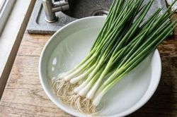 Hành lá mua về đừng vội cho vào tủ lạnh, thêm một bước này để hành tươi lâu hơn