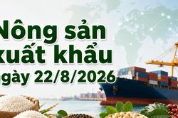 N&ocirc;ng sản xuất khẩu 22/8: Điều, ti&ecirc;u dẫn đầu về gi&aacute;