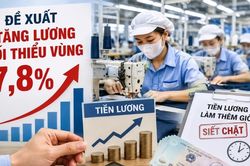 Đề xuất tăng lương tối thiểu vùng 7,8%, doanh nghiệp cần lưu ý gì?