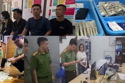 Triệt phá đường dây vận chuyển trái phép hơn 51 triệu USD qua biên giới