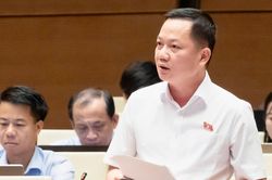 Đại biểu Quốc hội đề nghị định danh hành vi thao túng thị trường bất động sản