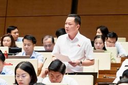 Đại biểu Quốc hội kiến nghị đưa hành vi thao túng thị trường bất động sản vào diện bị cấm