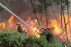 Hà Nội: Phát huy hiệu quả 'bốn tại chỗ' trong phòng, chữa cháy rừng