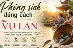 Phóng sinh mùa Vu Lan 2026: Cứ mua con vật rồi thả có thực sự là tốt?