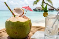 Sốt xuất huyết có nên uống nước dừa? Những điều cần biết khi bù nước