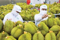 Truy xuất nguồn gốc nông sản: 158.234 sản phẩm đã được kết nối dữ liệu