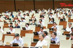 Quốc hội biểu quyết thông qua 3 luật, thảo luận dự án Bộ luật Tố tụng Hình sự (sửa đổi)