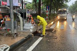 Mưa lớn diện rộng, Hà Nội chưa ghi nhận điểm ngập