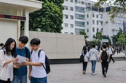 Dự kiến giảm 5 trường đại học trực thuộc Bộ GD&ĐT: Sinh viên có bị ảnh hưởng?