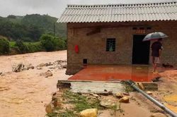 Bão số 4 làm 1 người chết, hơn 2.800ha cây trồng bị thiệt hại
