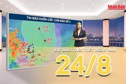 [Video] Dự báo thời tiết đêm nay và ngày mai 24/8/2026: Bão số 4 di chuyển chậm với cường độ mạnh, Đông Bắc Bộ mưa to, gió lớn