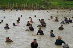 Hàng trăm người lội bùn bắt cá cầu may