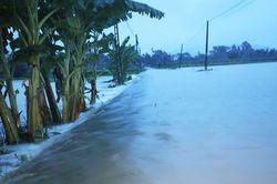Bắc Ninh chủ động ứng phó bão số 4, kiên quyết di dời dân khỏi vùng nguy hiểm