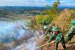 Cháy rừng trên núi cao, lực lượng chức năng Gia Lai căng mình dập lửa
