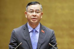 Luật Hải quan mới sẽ chấm dứt cảnh 'nộp đi, nộp lại' giấy tờ