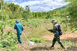 Radar xuyên đất dò tìm hố chôn liệt sĩ trên đồi Xuân Sơn