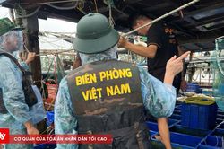 Quảng Ninh dồn lực ứng phó bảo đảm an toàn cho người dân
