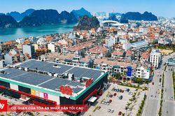 Khi những mái nhà tự tạo ra điện