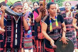 Lễ hội Ariêu Piing: Tiếng chiêng gọi hồn di sản văn hóa Tà Ôi