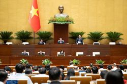 Quốc hội thảo luận về dự án Bộ luật Hình sự (sửa đổi)