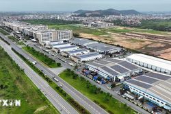Hợp tác kinh tế, thương mại Việt Nam-Singapore: Biến thách thức thành cơ hội