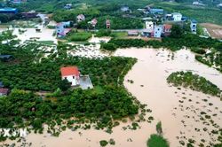 Mưa lũ g&acirc;y ngập h&agrave;ng ngh&igrave;n h&eacute;cta l&uacute;a, hoa m&agrave;u ở tỉnh Bắc Ninh