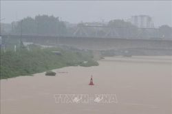Bắc Ninh phát lệnh báo động lũ cấp III trên sông Lục Nam và sông Thương