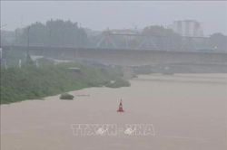 Bắc Ninh phát lệnh báo động lũ cấp III trên sông Lục Nam và sông Thương