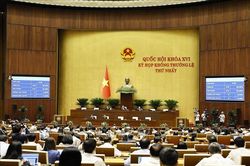 Quốc hội thông qua 3 luật và thảo luận về dự án Bộ luật Hình sự (sửa đổi)