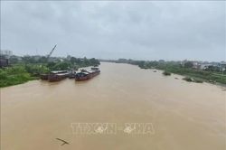 Bộ Nông nghiệp và Môi trường chỉ đạo đảm bảo an toàn hệ thống đê điều ứng phó lũ