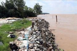 Sạt lở đê bao sông Hậu qua Cù Lao Dung uy hiếp hàng trăm hộ dân