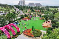 Lễ hội ngàn hoa, điểm check-in mới của Gia Lai