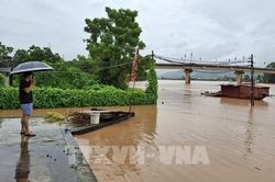Bộ Nông nghiệp và Môi trường chỉ đạo đảm bảo an toàn hệ thống đê điều ứng phó lũ