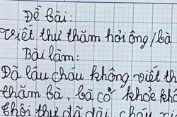 Học trò làm bài văn 'viết thư thăm bà' đúng 4 dòng khiến cô giáo phải 'cạn lời'