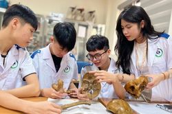 Hướng đi nào phù hợp với thí sinh chỉ được dưới 15 điểm 3 môn tổ hợp?