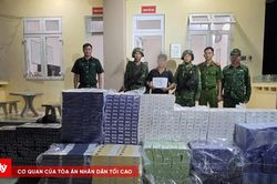 Lái ô tô chở gần 15.000 bao thuốc lá ngoại nhập lậu