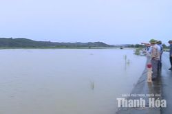Mưa lớn gây ngập hơn 535ha đất nông nghiệp