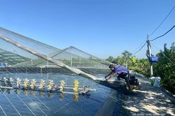 Bảo đảm an toàn diện tích nuôi trồng thủy sản trong mùa mưa bão