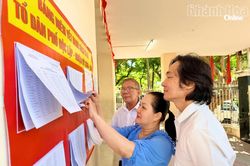Cử tri phường Tây Nha Trang, Bắc Nha Trang nhiệt tình tham gia bầu cử tổ trưởng tổ dân phố